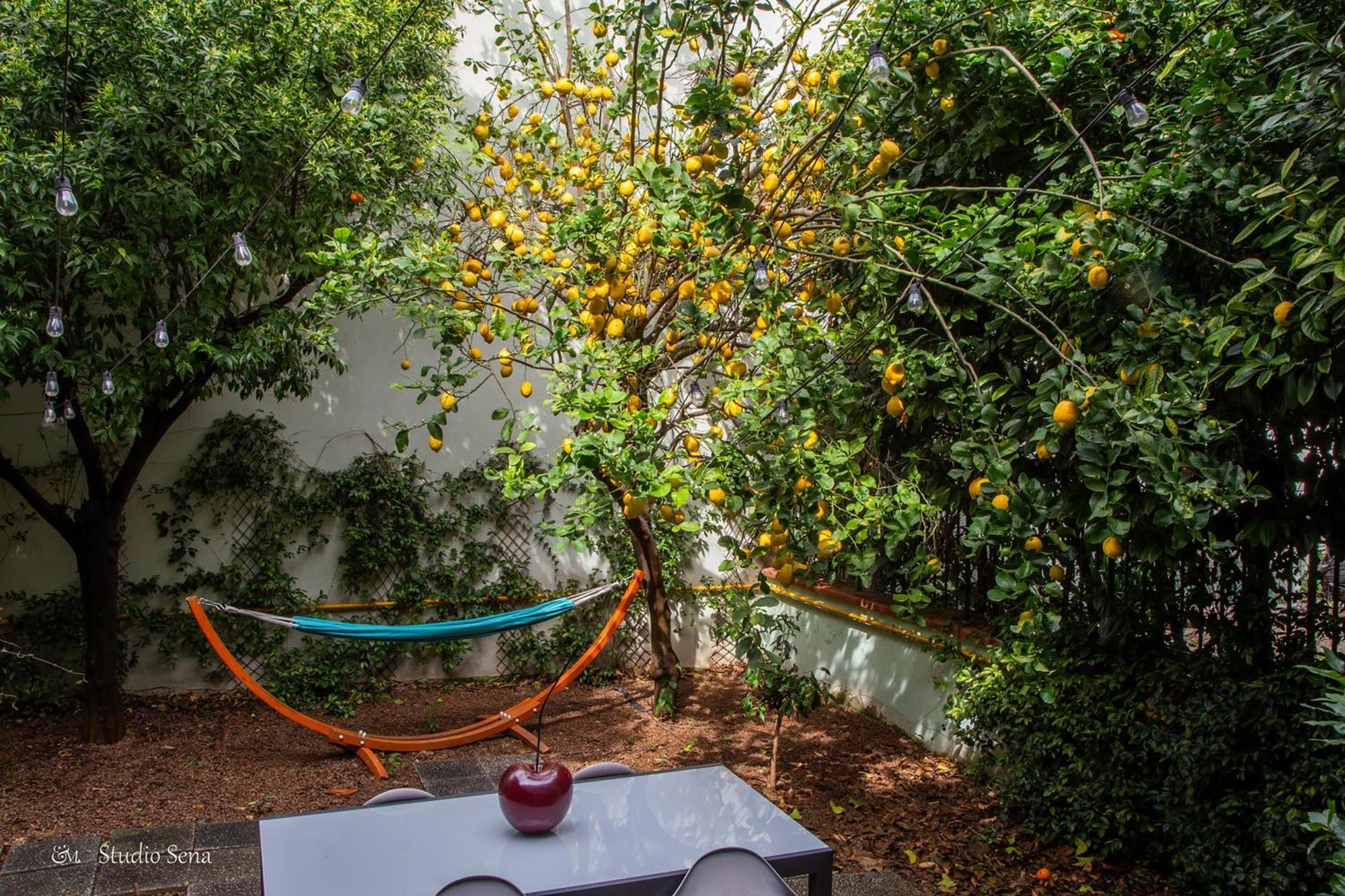 Utopia Bed & Breakfast Marigliano Bagian luar foto